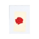 LANY - Flowers On The Floor