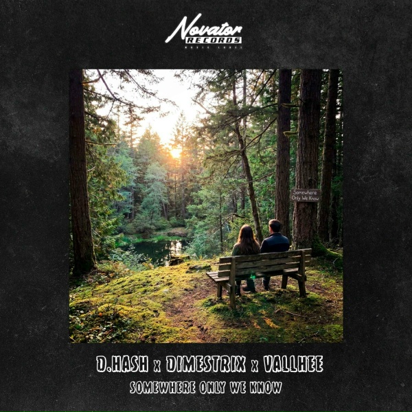 D.Hash, DIMESTRIX, Vallhee - Somewhere Only We Know