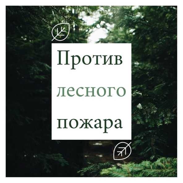 Ирина Северова - Пение птиц