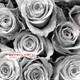 Mickey Nox - Come Into The (Original Mix) (Original Mix)