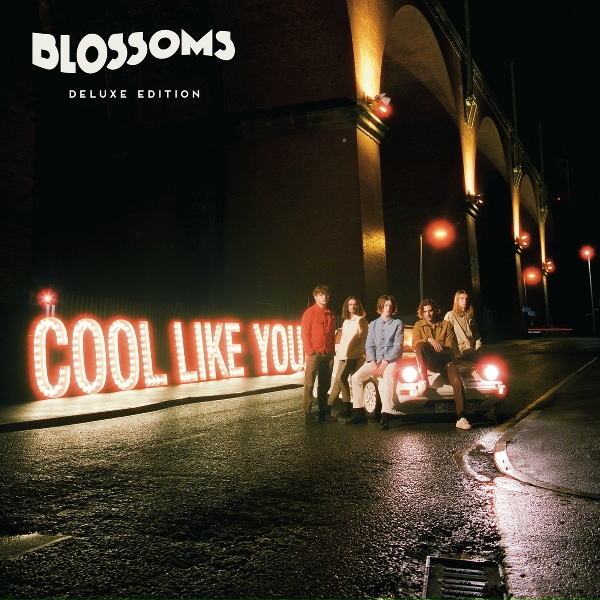 Blossoms - Unfaithful
