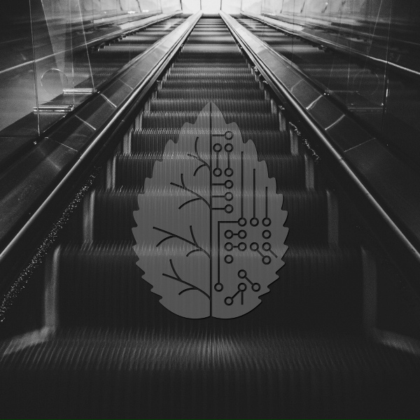 DJ Madd - Take It Down Low