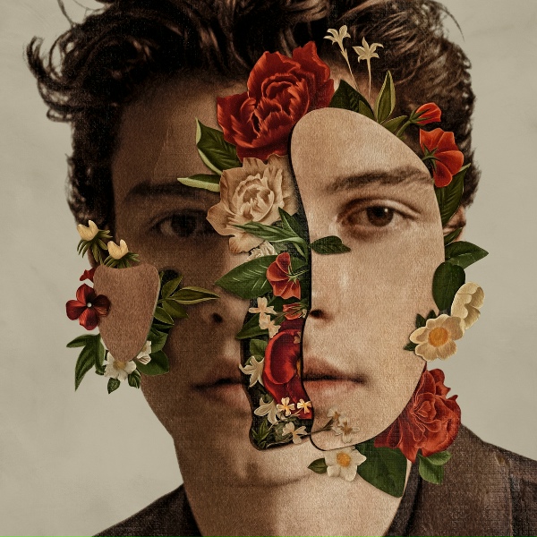 Shawn Mendes - Particular Taste