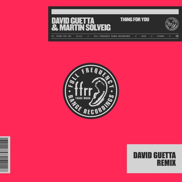 David Guetta, Martin Solveig - Thing For You (David Guetta Remix)