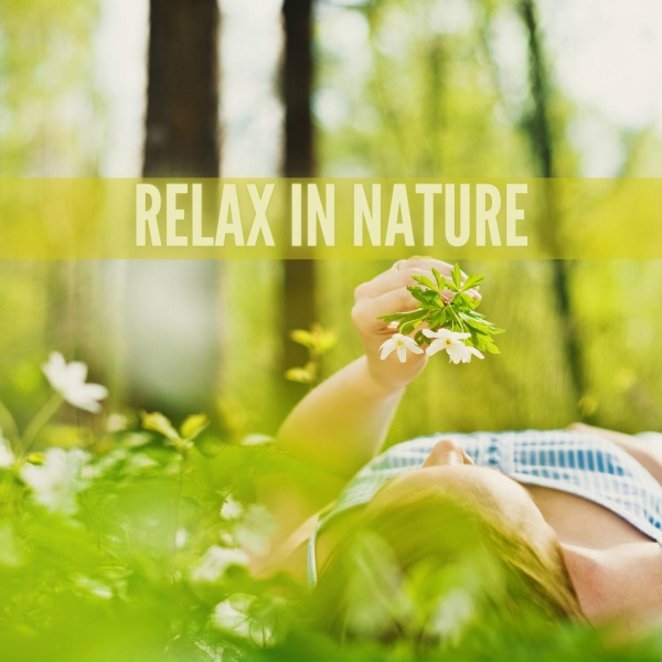 symphony orchestra sound of nature - Deep Relaxation