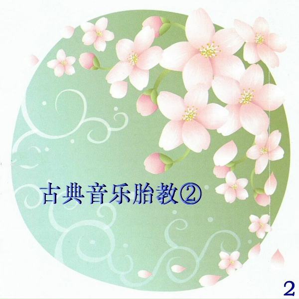 新时代轻音乐团 - 野蜂飞舞