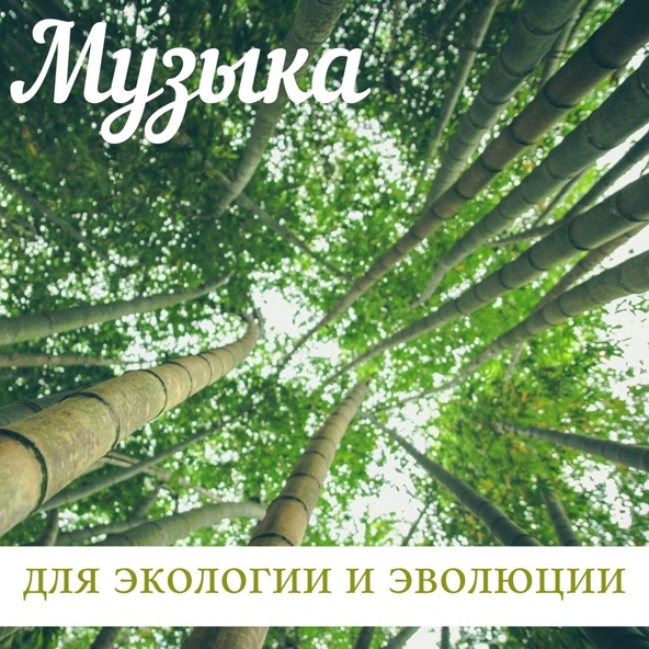 Наташа Пламя - Любовь к природе