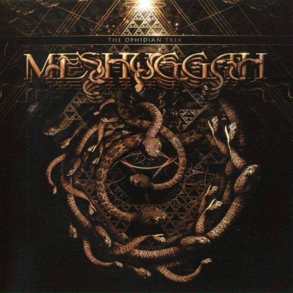 Meshuggah - Swarm (Live)