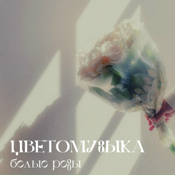 Цветомузыка - Белые розы