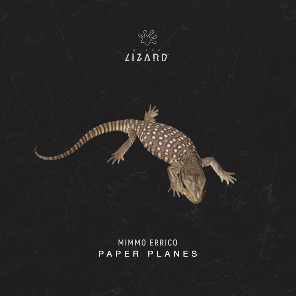 Mimmo Errico - Paper Planes