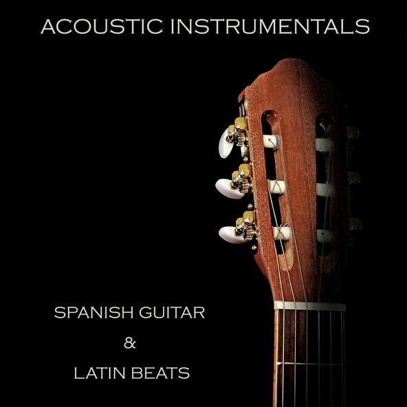 Nick Neblo - Relaxing Chillout Rumba Flamenco Guitar Backing Track D minor