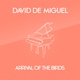 David de Miguel - Arrival Of The Birds