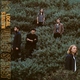 Local Natives - Someday Now