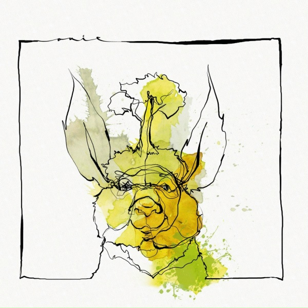 Nico Stojan, Acid Pauli - Acid Revisited