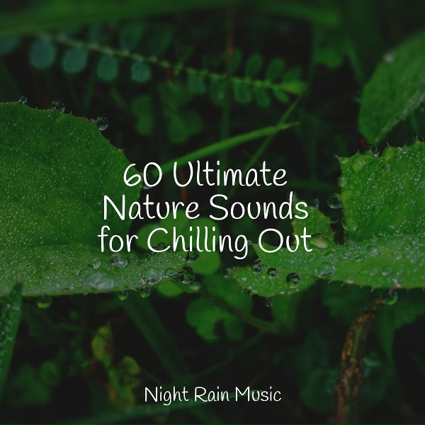 Academia de Medita&ccedil;&atilde;o Buddha, Relaxing Sounds of Nature, Relaxing Sleep Sound - Medium River