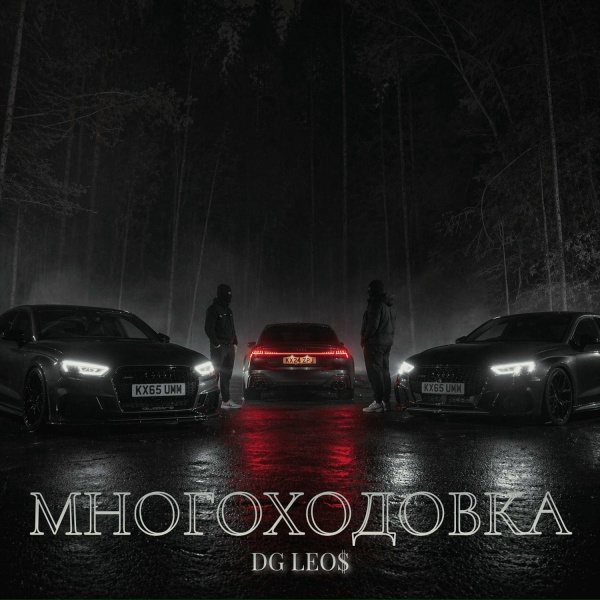 DG Leos - Многоходовка