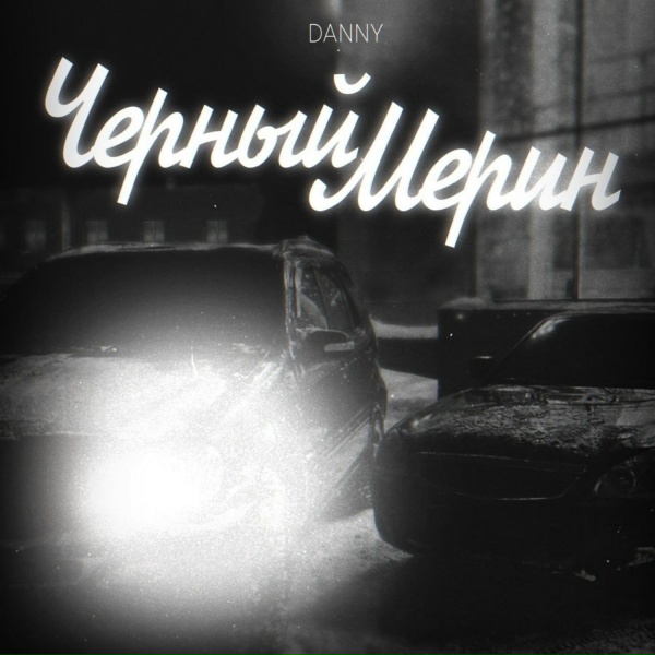 Danny - Черный мерин