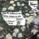 Звуки Му - Канава