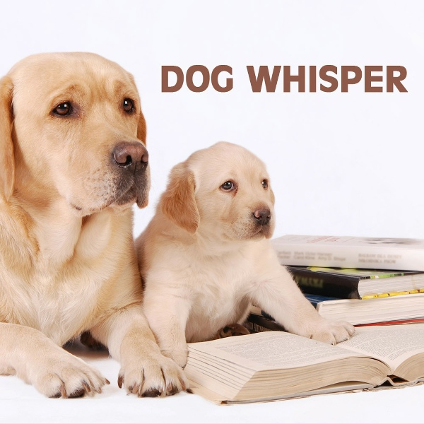 Dog Whisper - Gounod Ave Maria