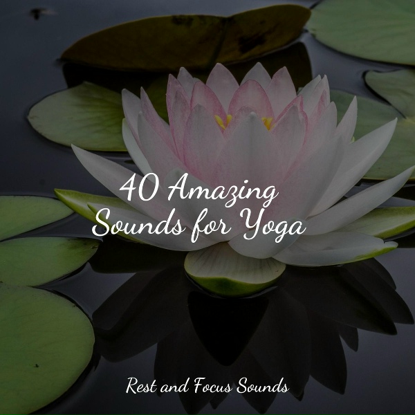 Guided Meditation, M&uacute;sica Zen Relaxante, Meditation Music Club - Chimes on the Wind