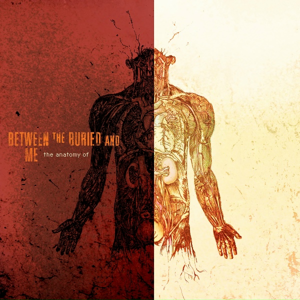 Between The Buried And Me - Colorblind