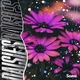 Nexeri - Daisies