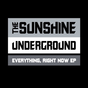 The Sunshine Underground - Animals