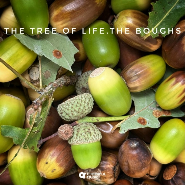 The Boughs - Sunrise