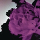 John Legend - All of Me (Ti&euml;sto's Birthday Treatment Remix) (Radio Edit) (Radio Edit)