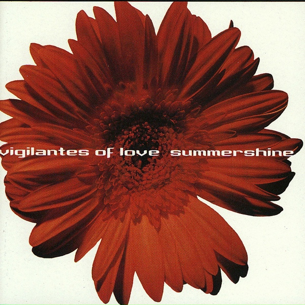 Vigilantes of Love - Stand Beside Me