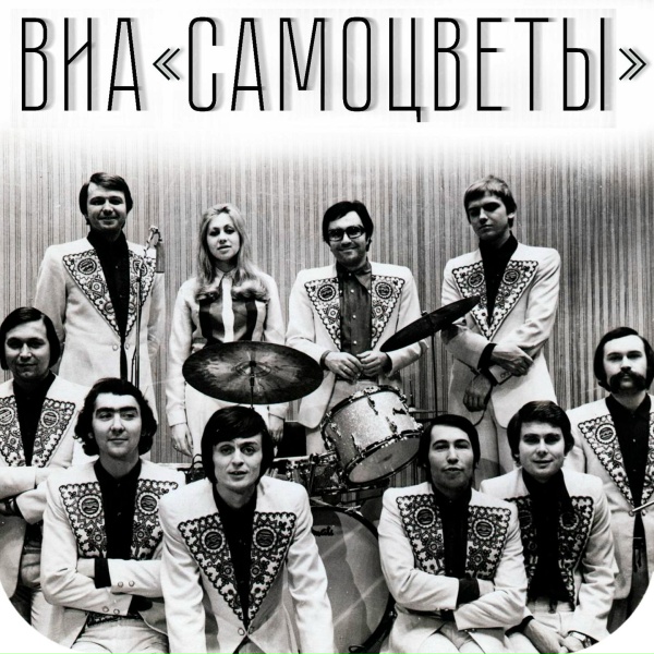 ВИА &laquo;Самоцветы&raquo; - Увезу тебя я в тундру