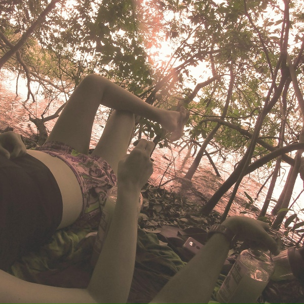 dvns - Lofi Secret Mangrove
