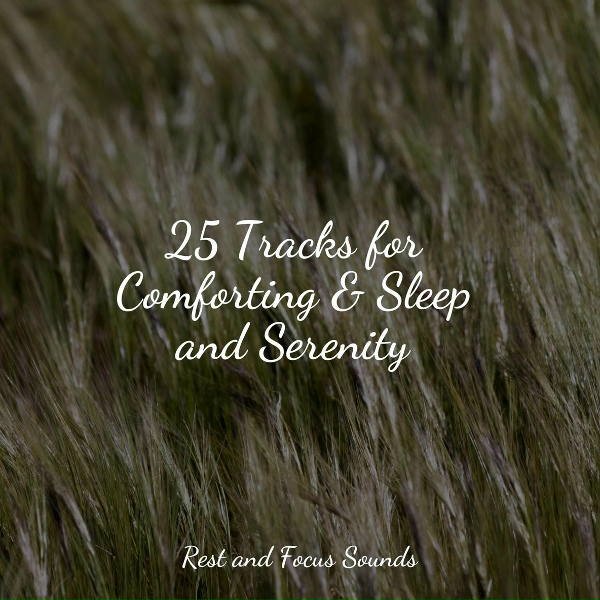 Massagem Cole&ccedil;&atilde;o de M&uacute;sicas, Chakra Balancing Sound Therapy, Baby Sweet Dream - Moonlight Melody