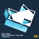 Ray Foxx feat. Rachel K Collier - Curious