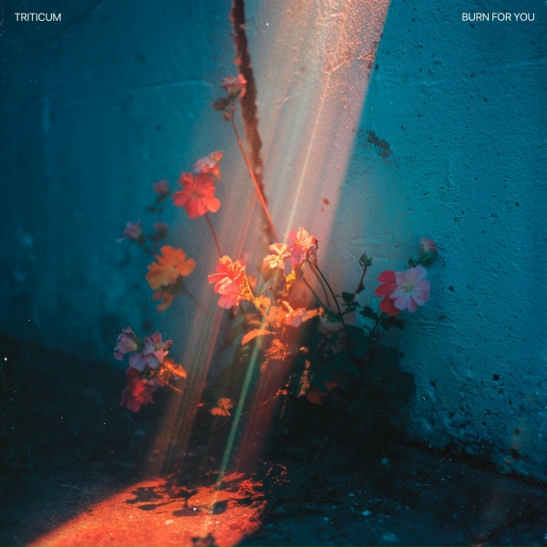 TRITICUM - Burn for You