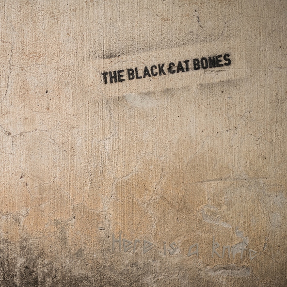 The Black Cat Bones - 100 Soldiers