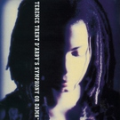 Terence Trent D'Arby feat. Des'ree - Delicate