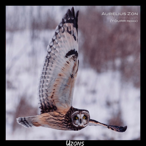 Aurelius Zon, Y&ouml;urr - Momentum