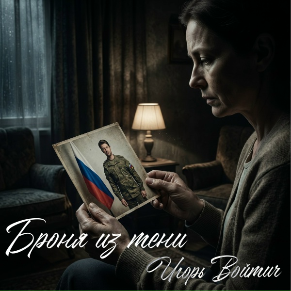 Игорь Войтич - Броня из тени