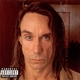 Iggy Pop - Miss Argentina