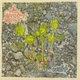 The Polyphonic Spree - Lithium