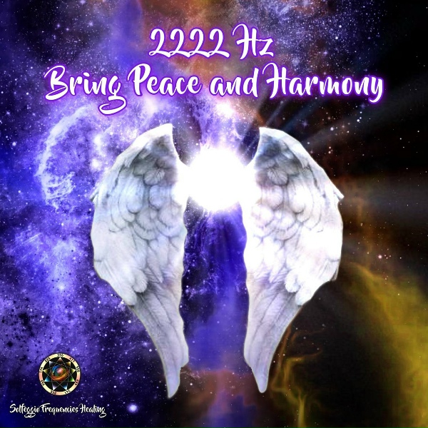 Emiliano Bruguera - 2222Hz Stay Positive