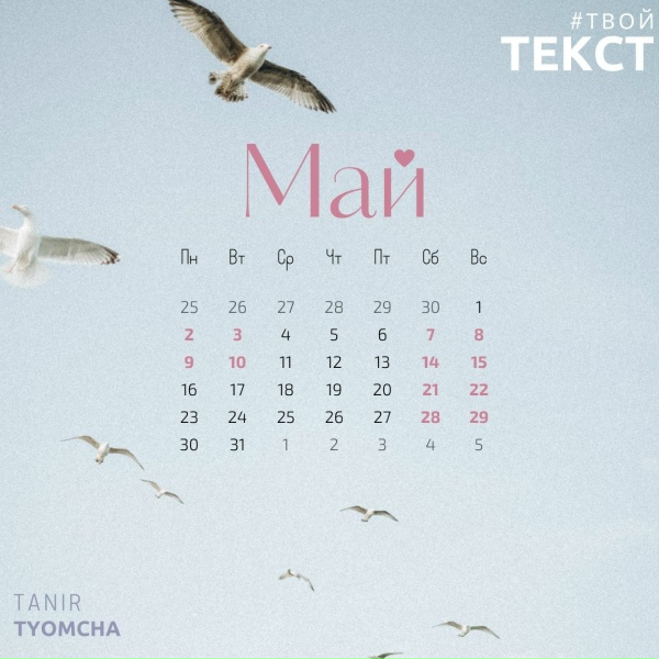 Tanir & Tyomcha - Май