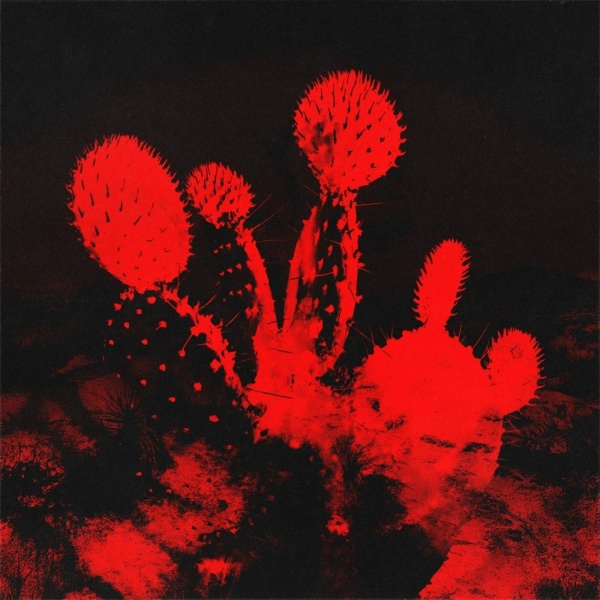 Beach Weather - Brain Dead