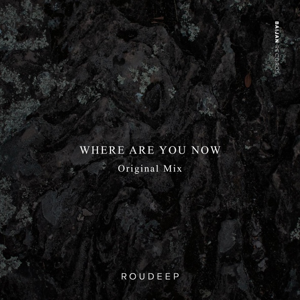 Roudeep - Where Are You Now