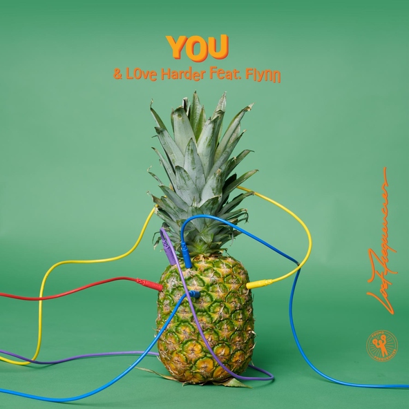 Lost Frequencies, Love Harder feat. Flynn - You