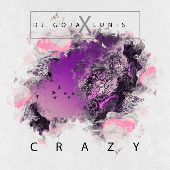 DJ Goja - Dj Goja - Crazy