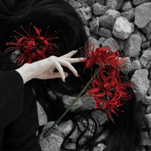 NAIXYS - Хрустальные нити