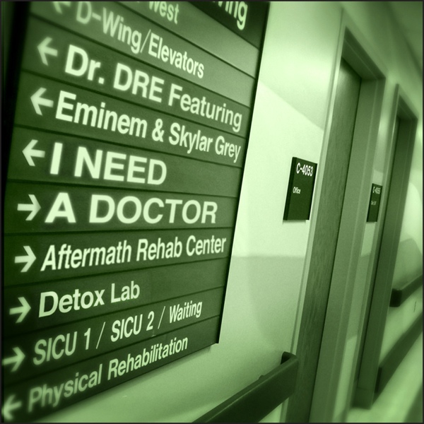 Dr. Dre feat. Eminem, Skylar Grey - I Need A Doctor