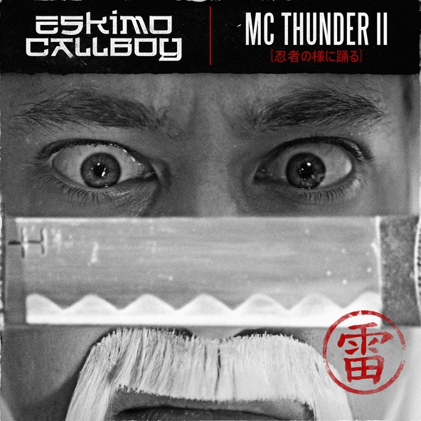Eskimo Callboy - MC Thunder II (Dancing Like a Ninja)